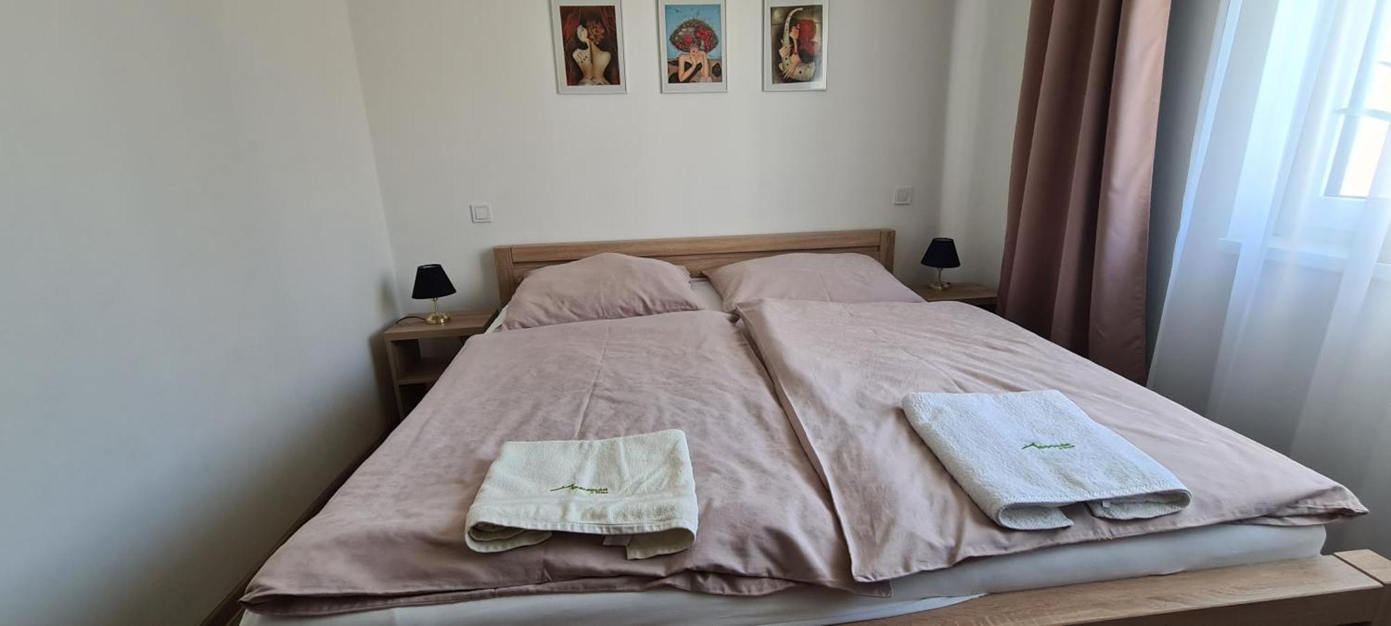 Apartman U Toma Frýdlant nad Ostravicí Extérieur photo