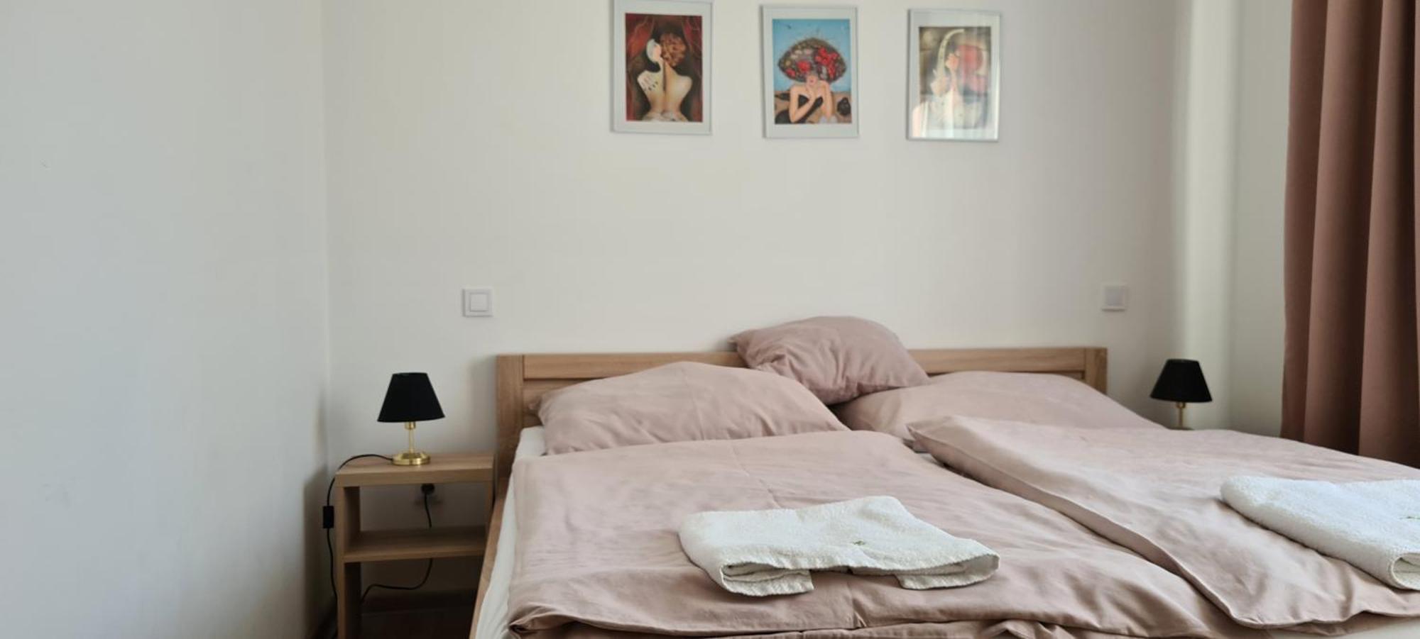 Apartman U Toma Frýdlant nad Ostravicí Extérieur photo