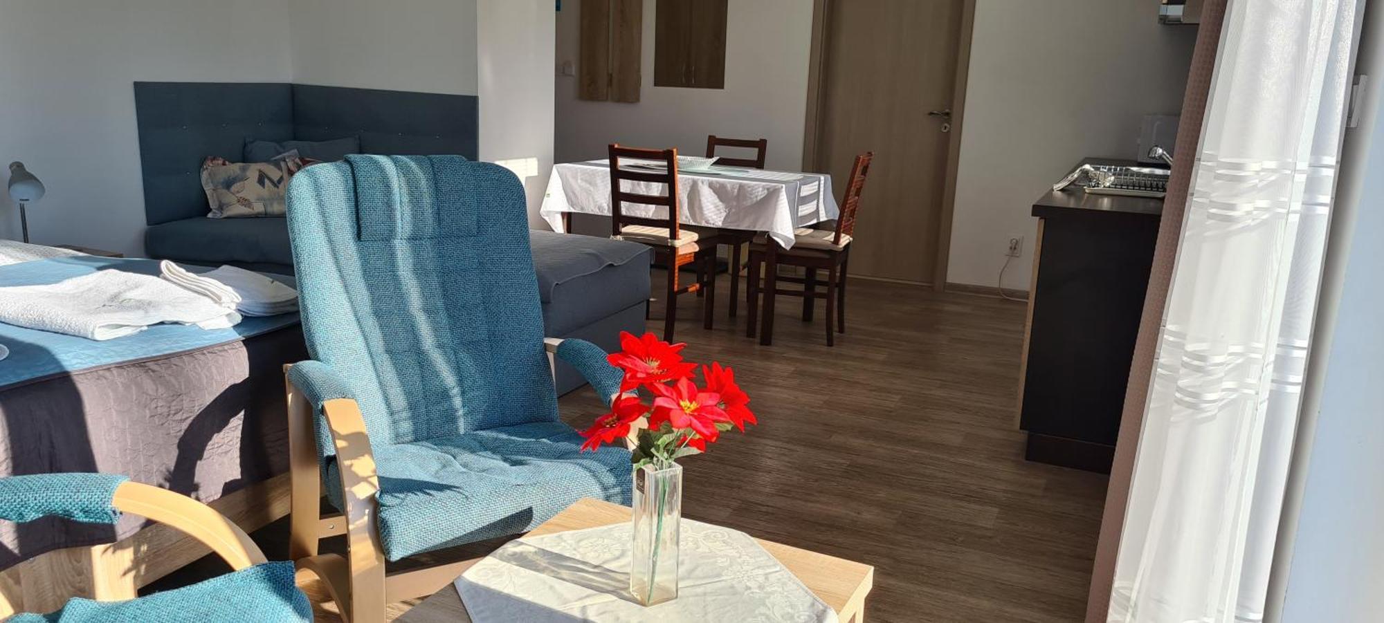 Apartman U Toma Frýdlant nad Ostravicí Extérieur photo