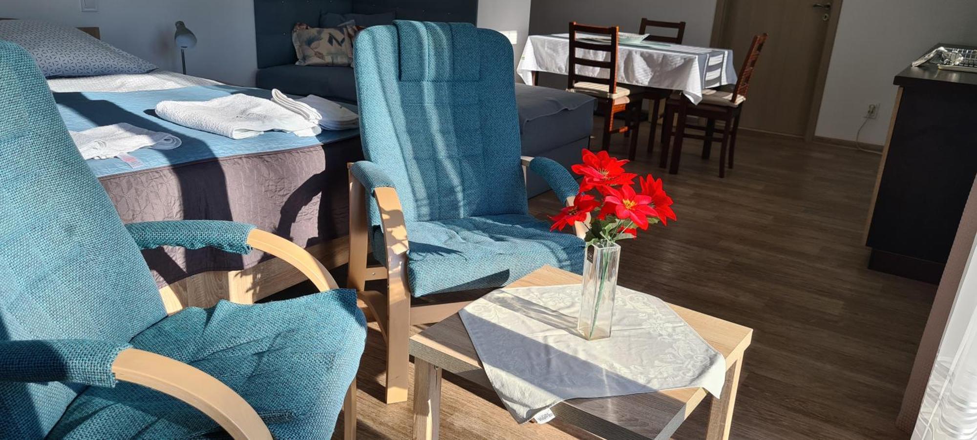 Apartman U Toma Frýdlant nad Ostravicí Extérieur photo