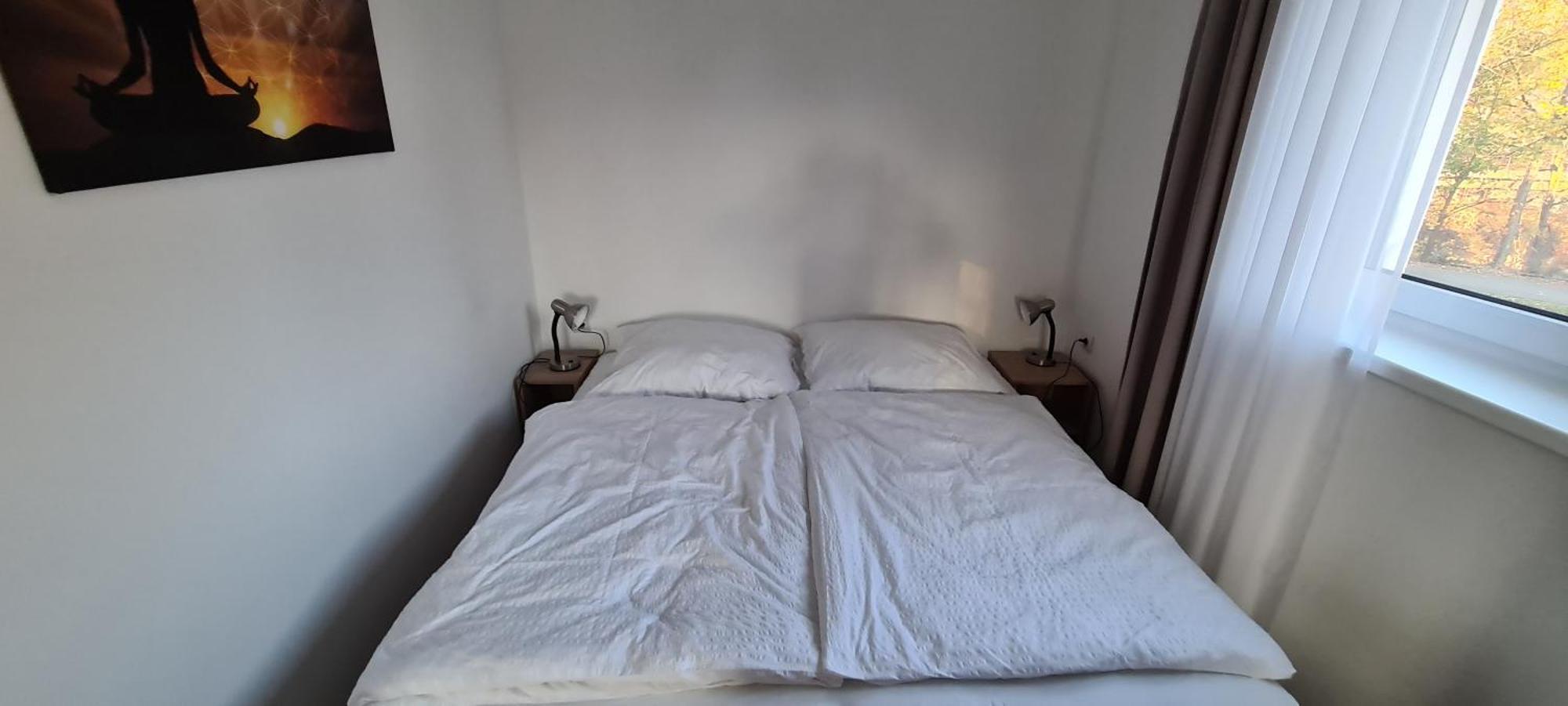 Apartman U Toma Frýdlant nad Ostravicí Extérieur photo