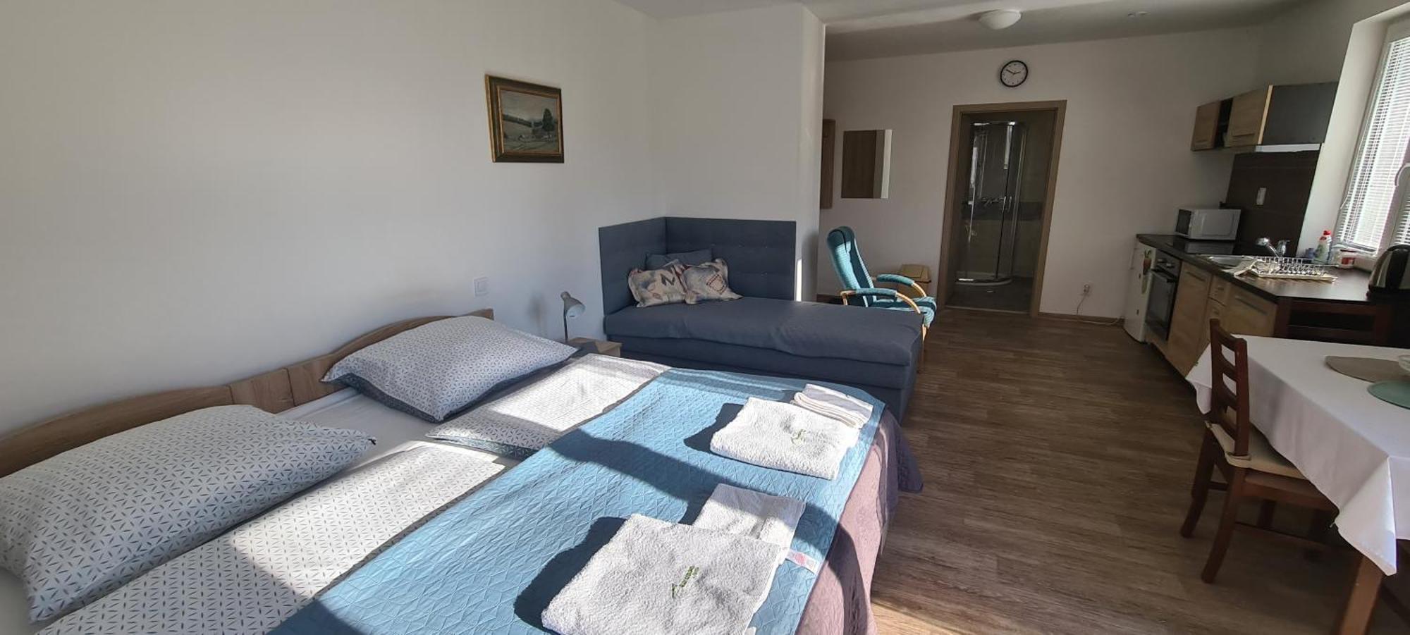 Apartman U Toma Frýdlant nad Ostravicí Extérieur photo